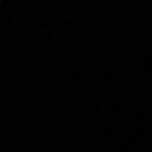 Meet your Posher, Carmen